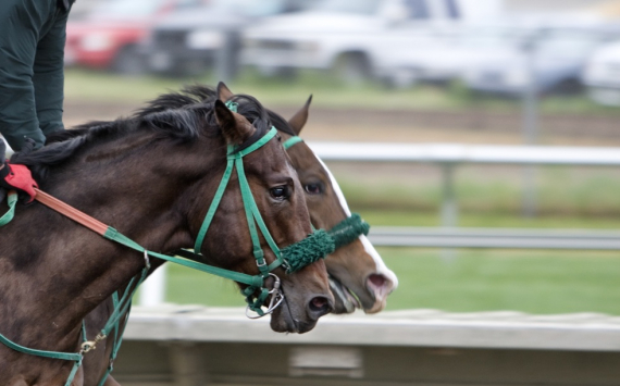 Jockey Graham Lee in Intensive Care After Newcastle Fall