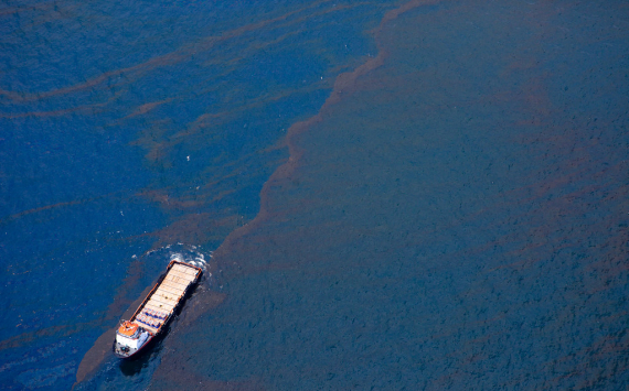 BP Joins Companies in Temporarily Halting All Shipments via the Red Sea