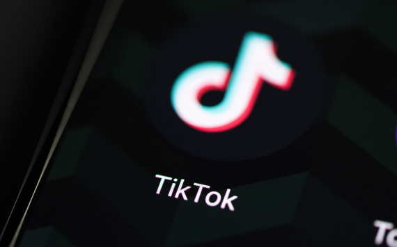 Reform Party Accuses TikTok Over Anne Widdecombe Rally Incident