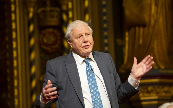 David Attenborough Expresses Concern Over AI Cloning of His Iconic Voice